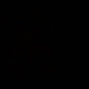 Meet your Posher, Everardo